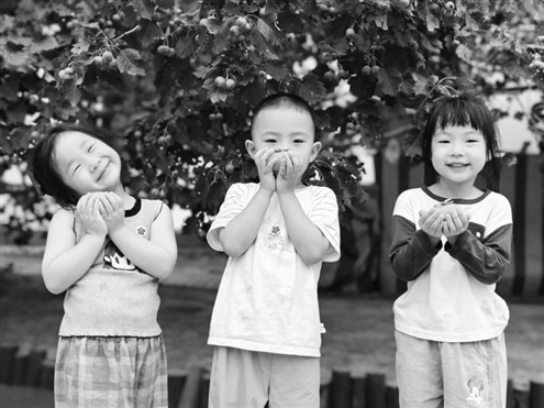 鹤琴英华幼儿园的孩子们化身“小小丰收体验馆”